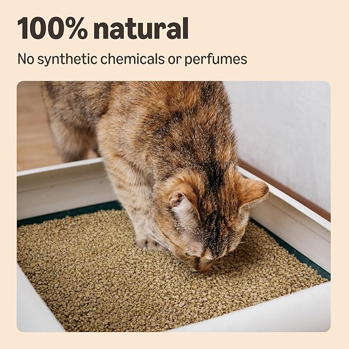 Clumping Corn Cat Litter – Unscented, 10L